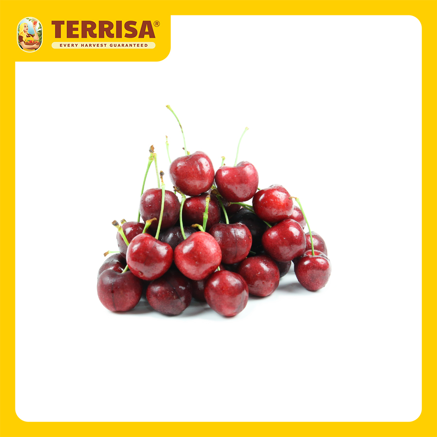 HCM Cherry đỏ Mỹ size 10 Hộp 500 g - TERRISA - Giao nhanh