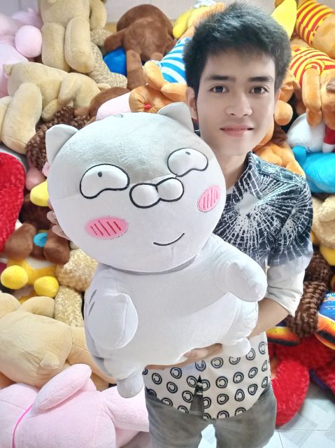 GẤU BÔNG MÈO AMY