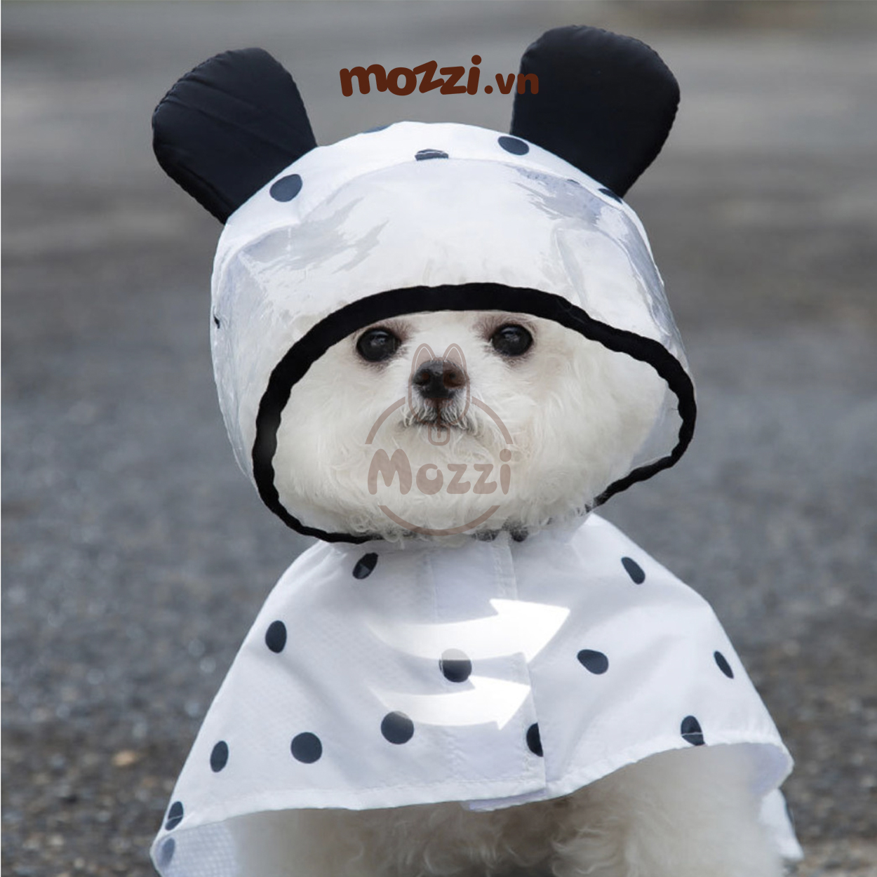 Áo mưa Panda chấm bi có dây ôm ngực cho chó mèo