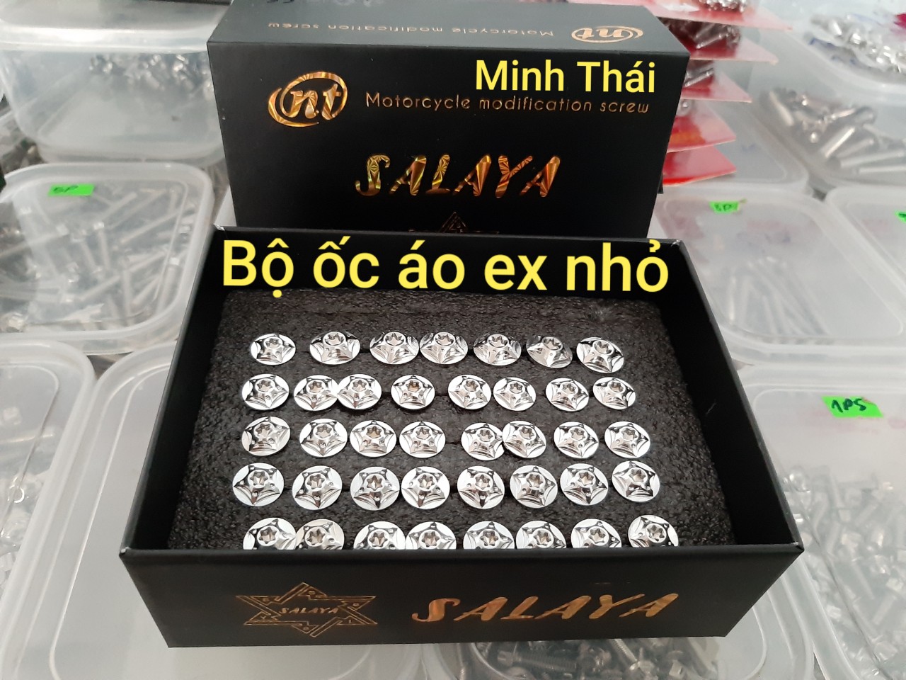 [HCM]ốc áo salaya ex nhỏ