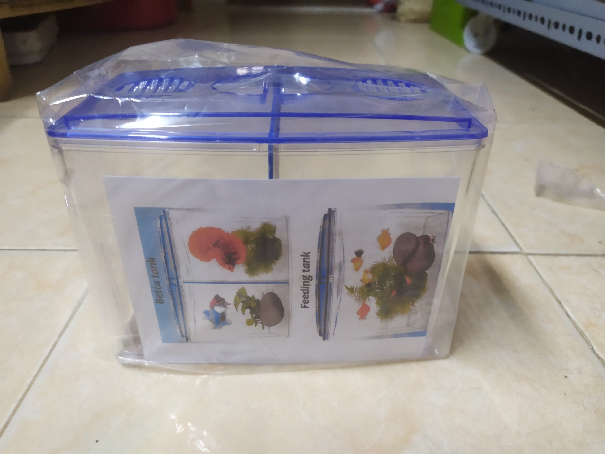 [HCM]Hồ Cá Betta 2 Ngăn Bằng Nhựa