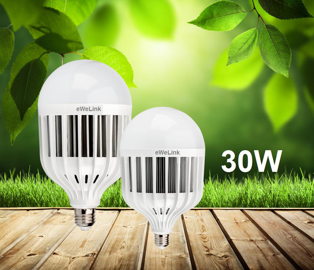 Combo 2 Bóng Đèn Led Bulb 30W Tiết Kiệm Điện Gấp 3 Lần