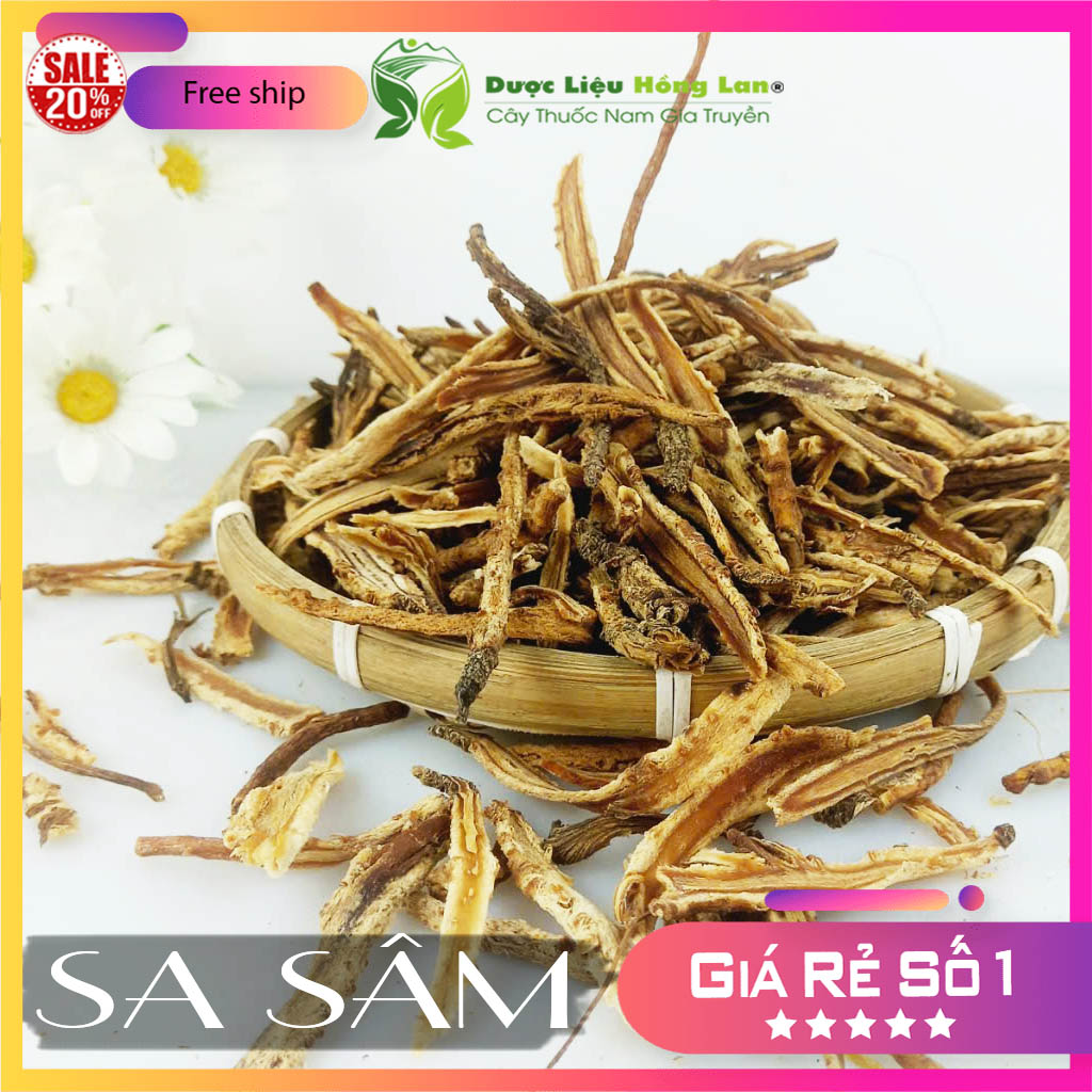 [FreeshipMAX] ✅[THƯỢNG HẠNG] 500g Sa Sâm đẹp loại 1