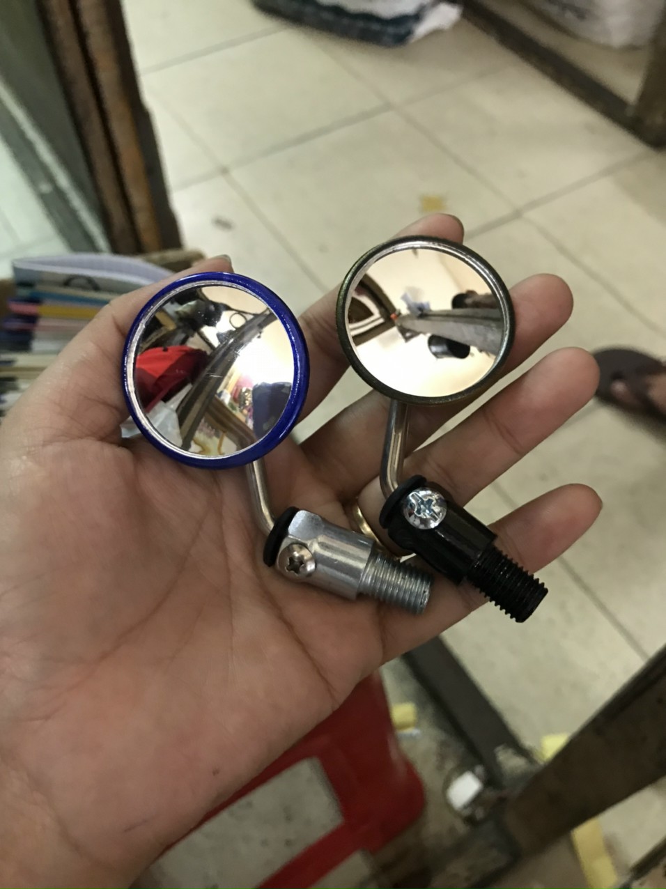 KIẾNG TRÒN NHỎ MINI