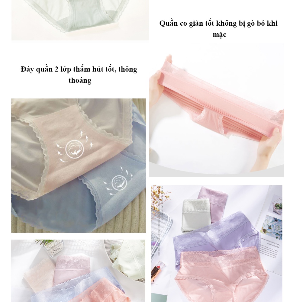 Quần lót nữ, quần chip cotton lụa mềm mại phối ren cao cấp