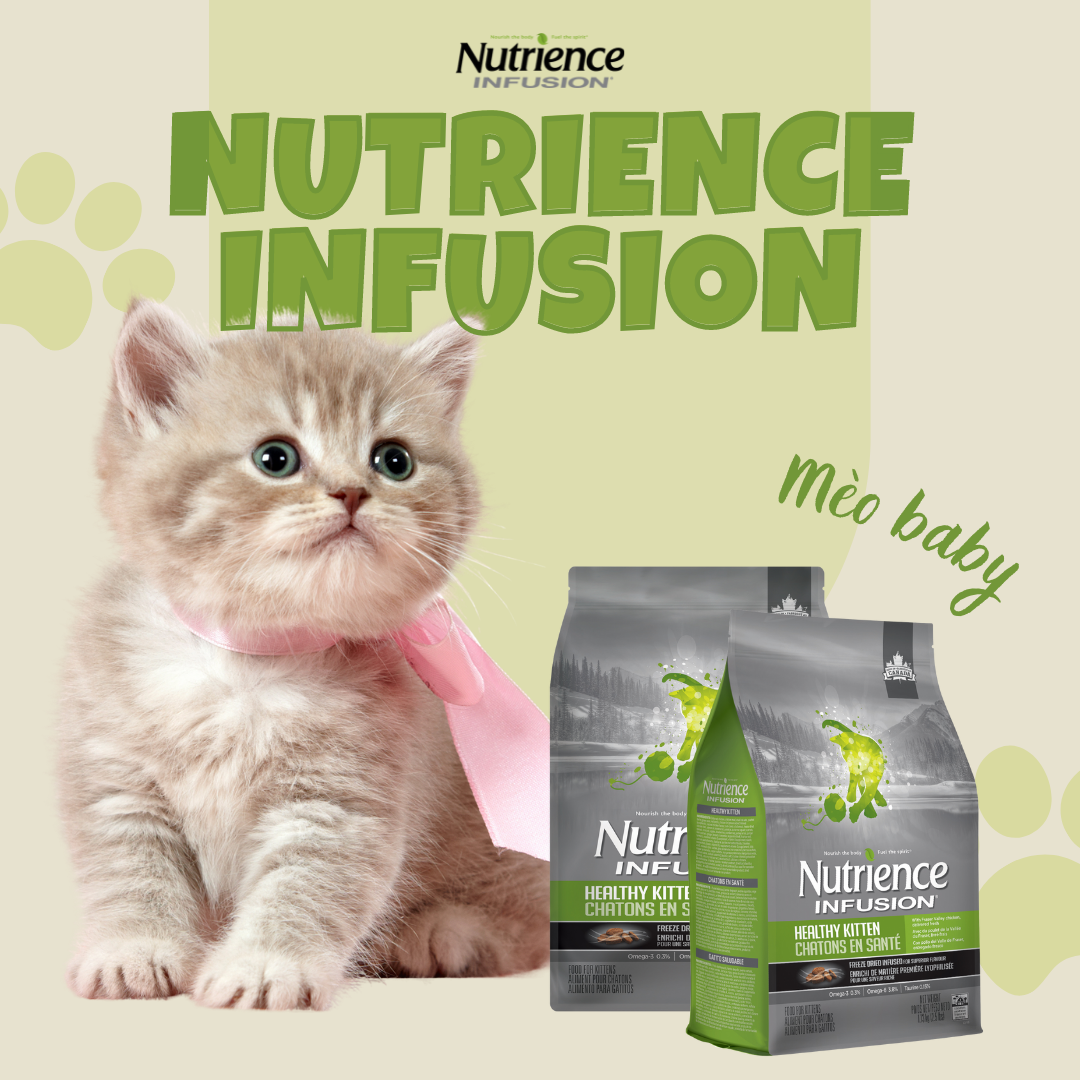 Hạt mèo NUTRIENCE KITTEN (bao nguyên seal) cho mèo con