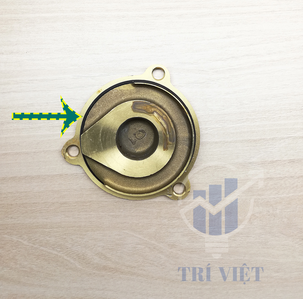 Ron máy bơm panasonic (ron nắp cánh) chính hãng