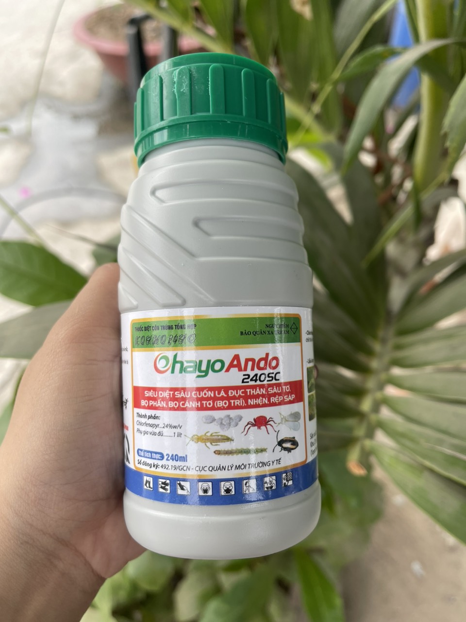 Kosho ohayo 240sc 240ml giao ngẫu nhiên nhãn pt - bmc - diệt bọ trĩ, sâu tơ, nhện đỏ, rệp sáp- vtnn năm bưu