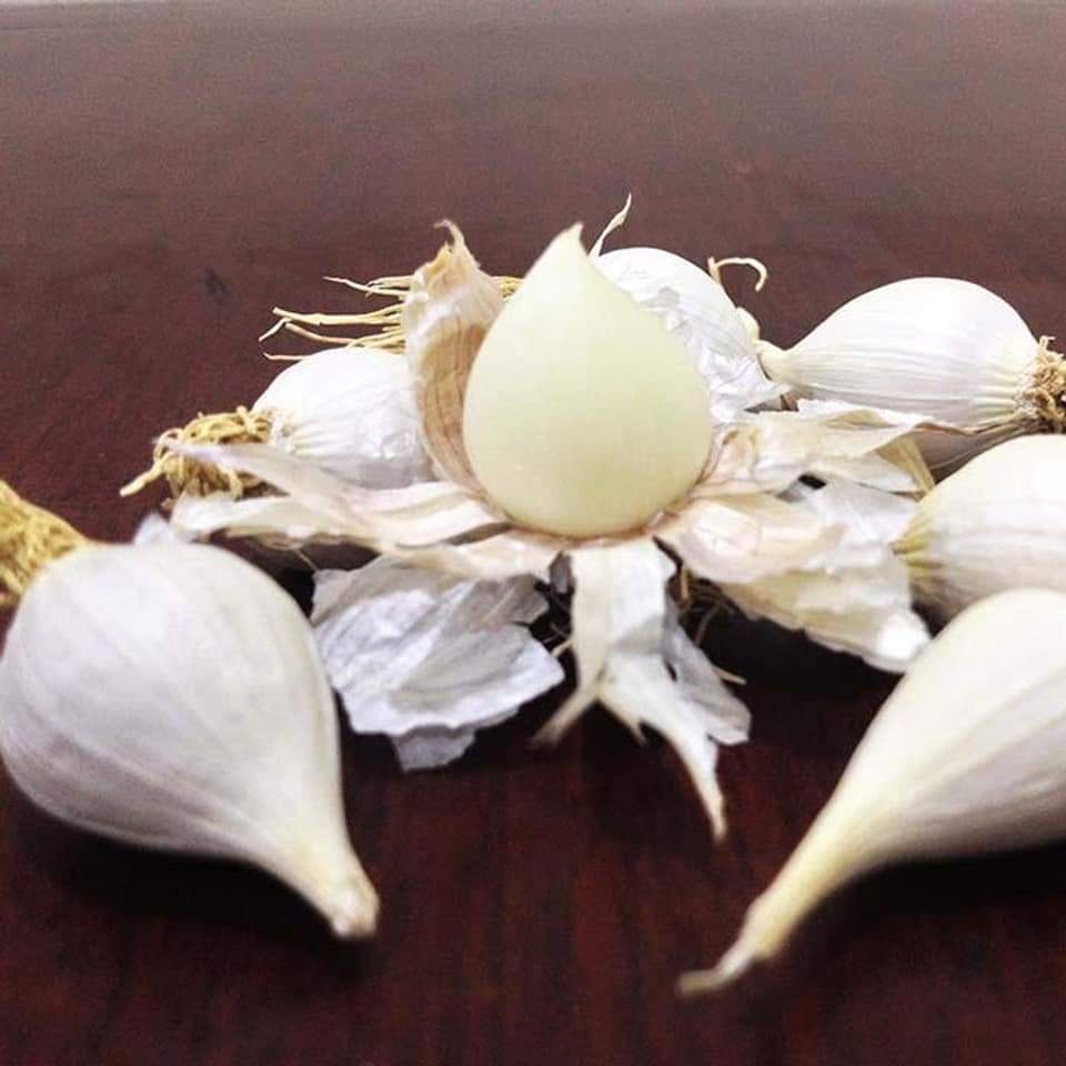 Rượu ngâm tỏi cô đơn Lý Sơn 500ml