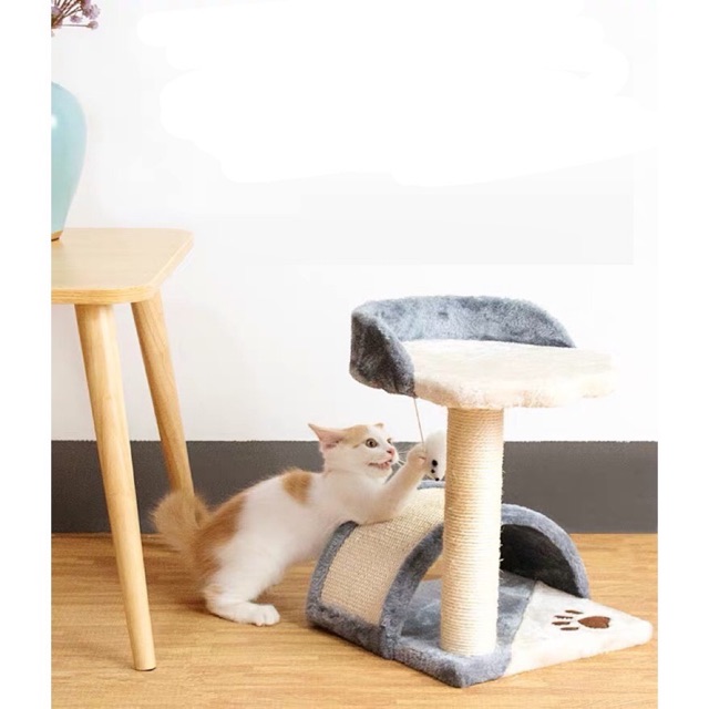 Nhà cây cho mèo hay còn gọi là cat tree, một phụ kiện đồ chơi không thể thiếu cho mèo 😽