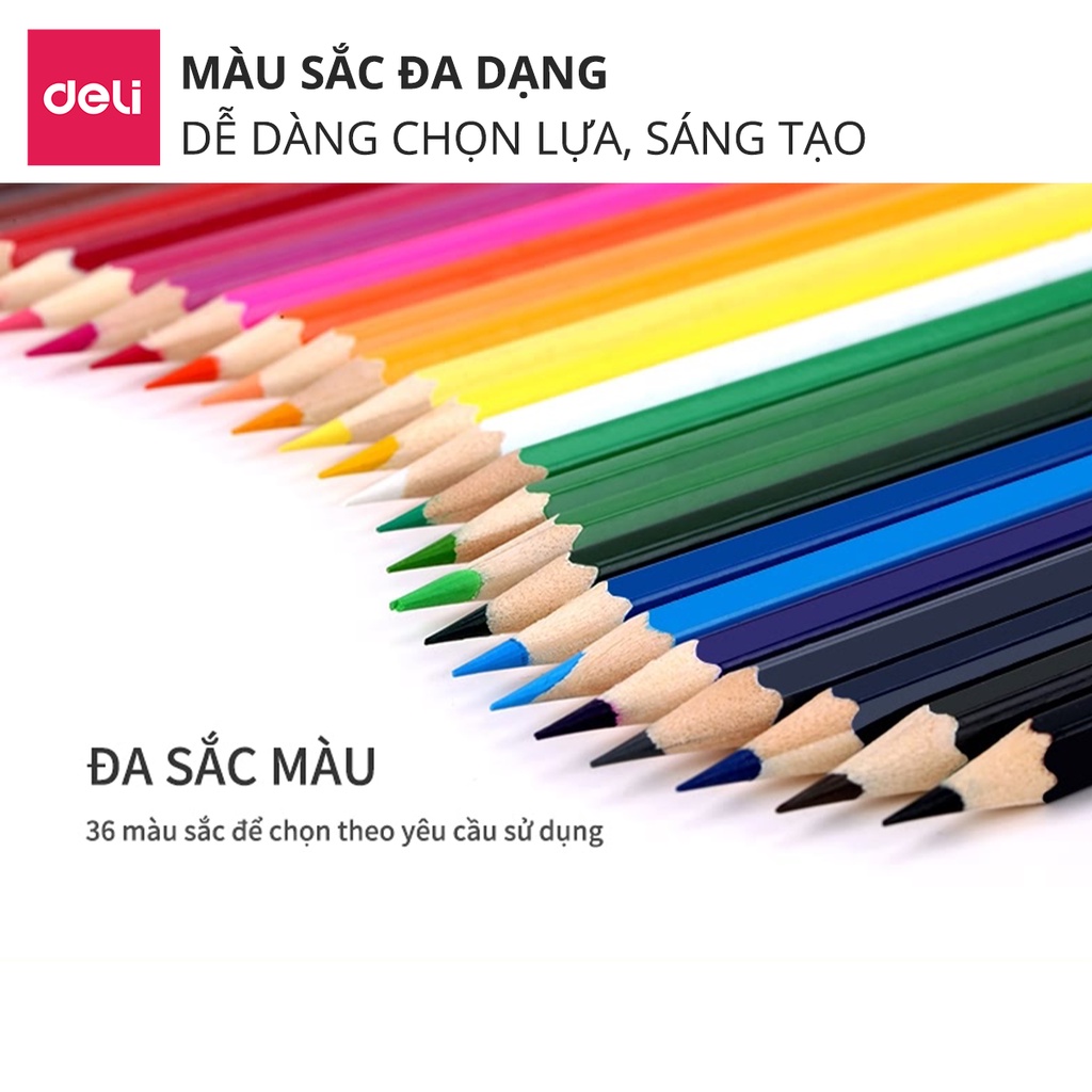 Bút chì màu cốc Deli 12/18/24/36 màu