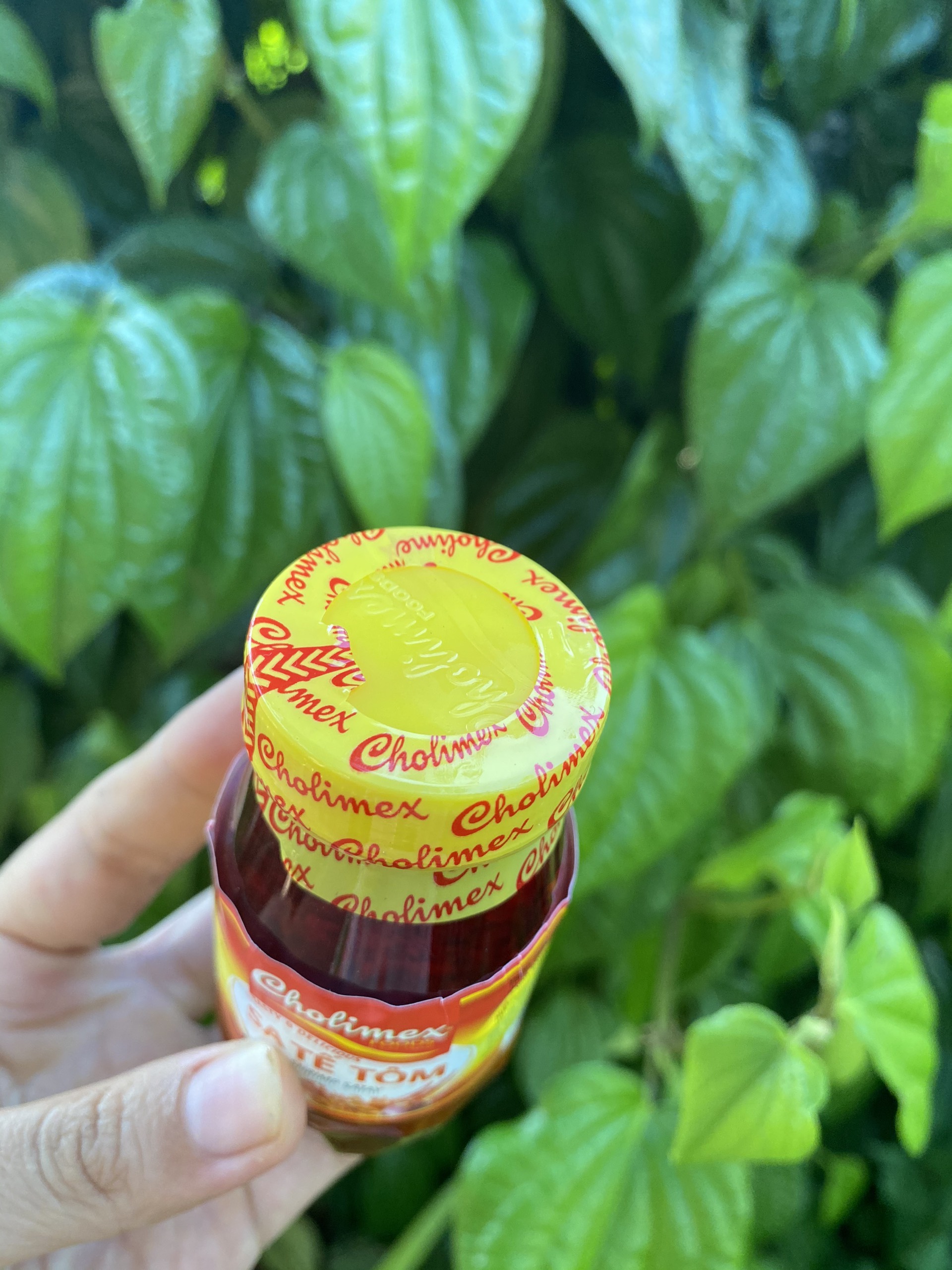 Sa tế tôm Cholimex hũ 90g