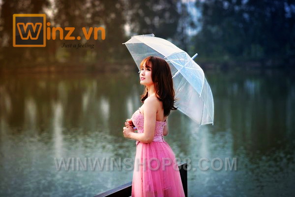 Ô dù trong suốt chụp ảnh