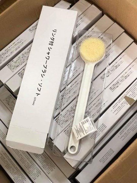 CÂY CỌ LƯNG MUJI