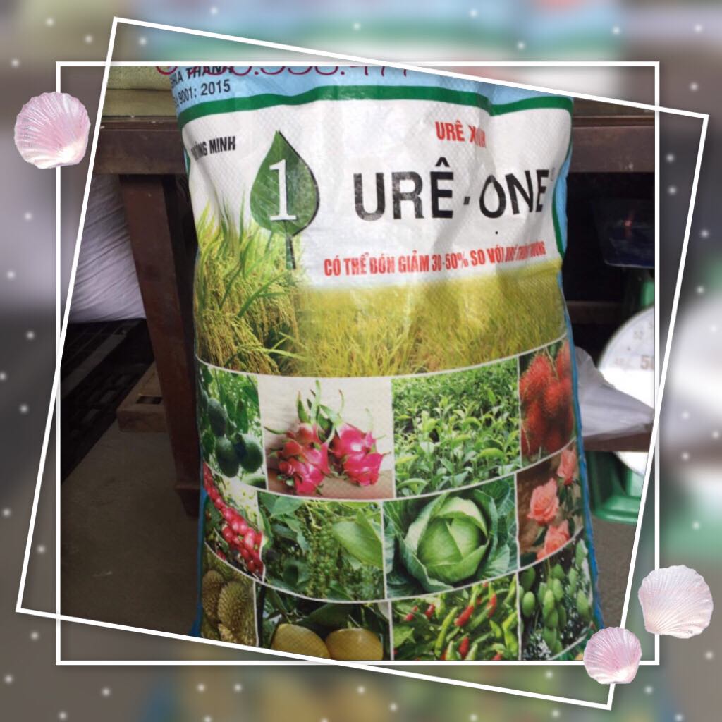 Phân Ure Xanh USA (1kg)