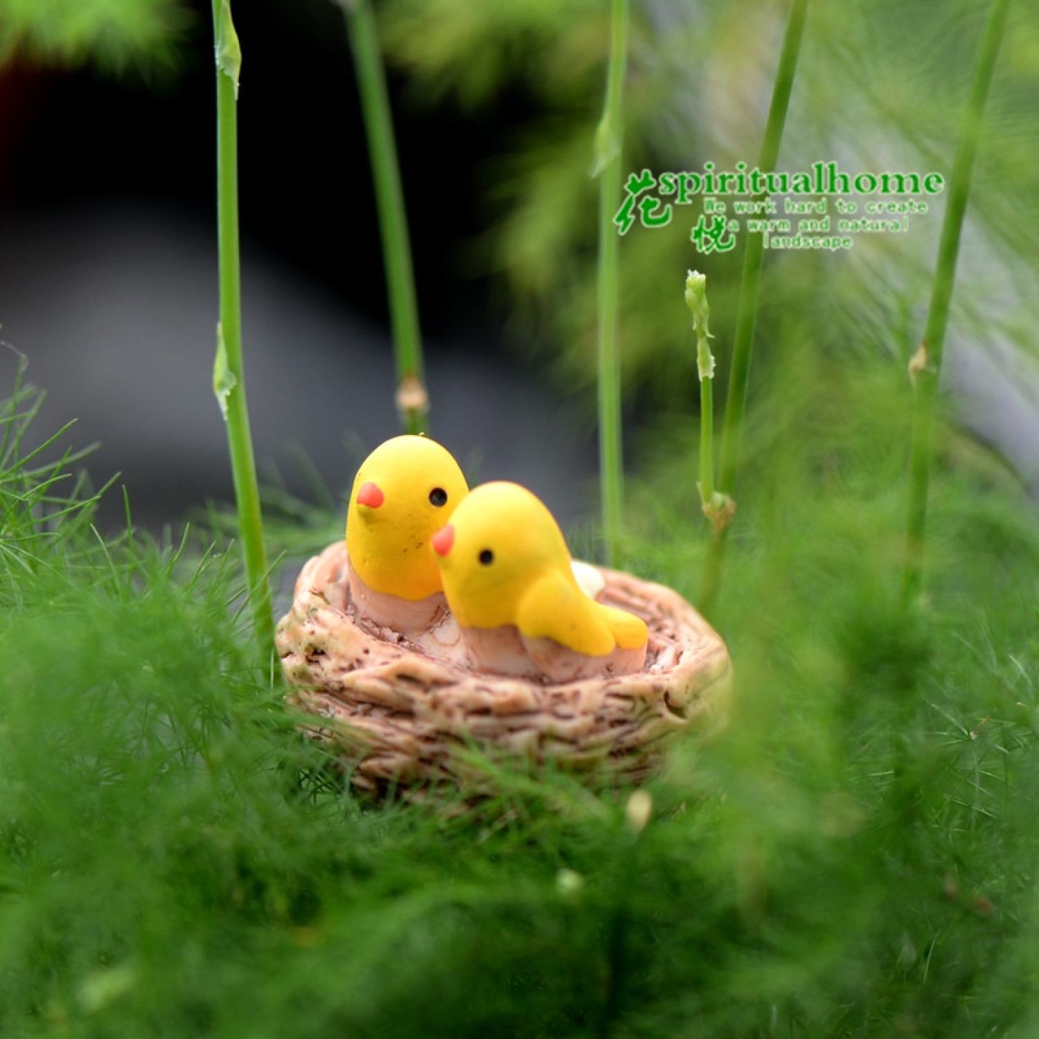 Tổ chim mini trang trí tiểu cảnh, sen đá, terrarium