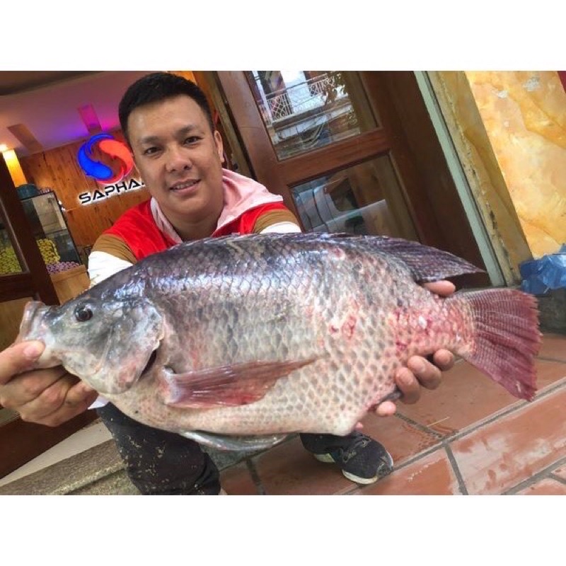 Mồi Tôm Thuỷ Bạc