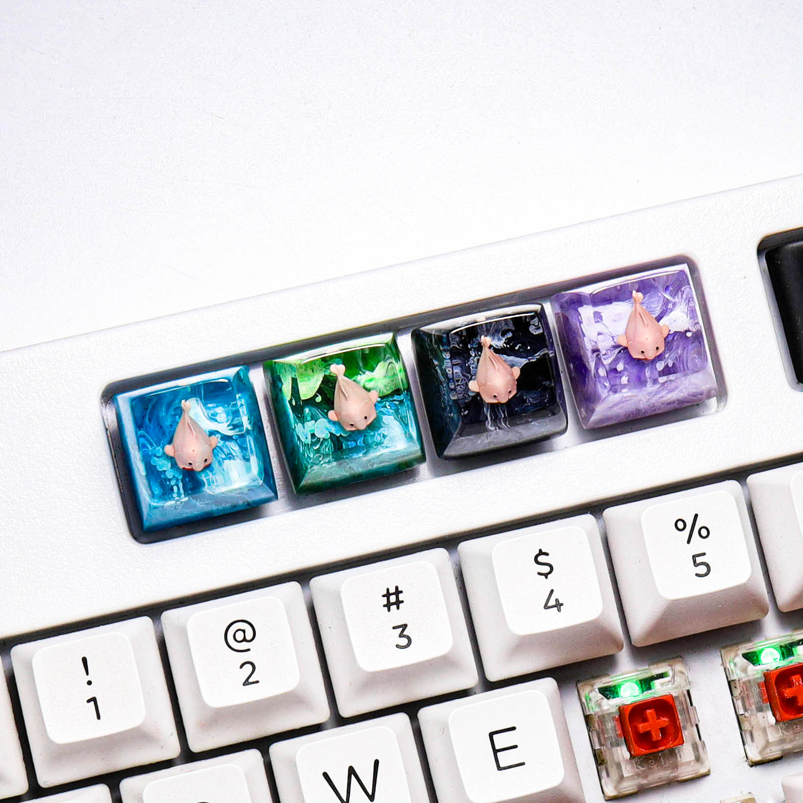 Keycap cá Blob, keycap cá xấu nhất thế giới, keycap lẻ
