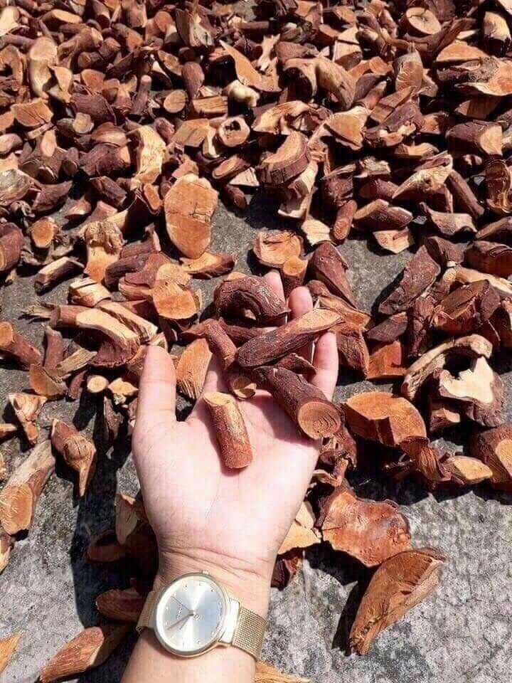 1kg rễ cây mú từn