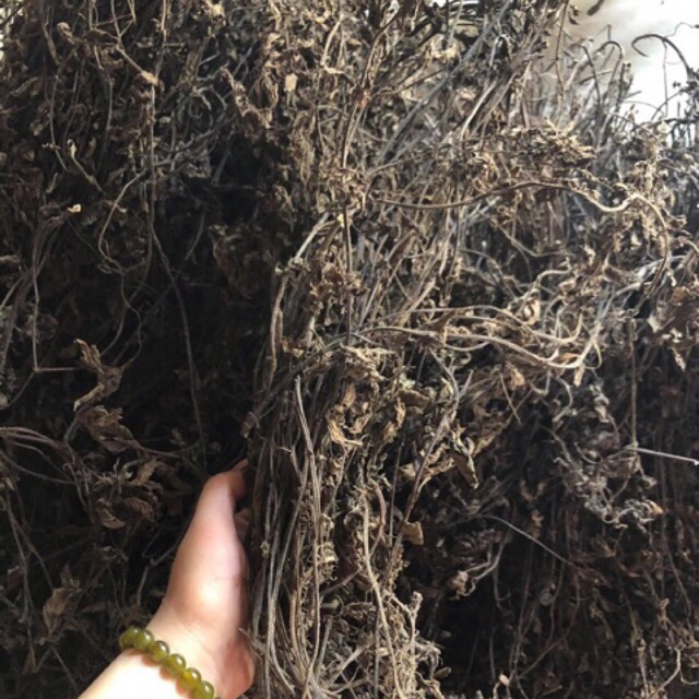 Cây sương sáo khô (500g)