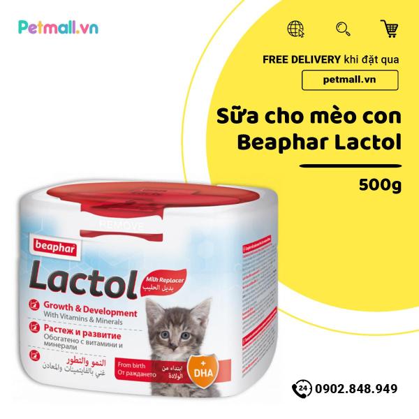 Sữa cho mèo con Beaphar Lactol 500g