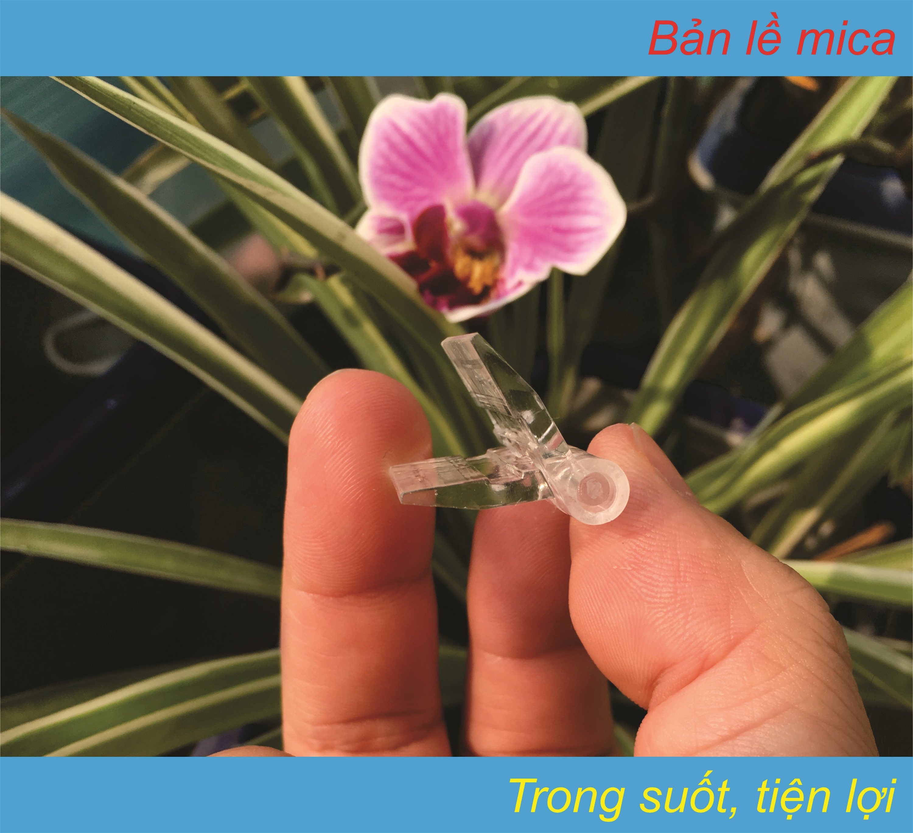 Bản lề mica, sản phẩm đúc, KT 25x33mm, 6 chiếc