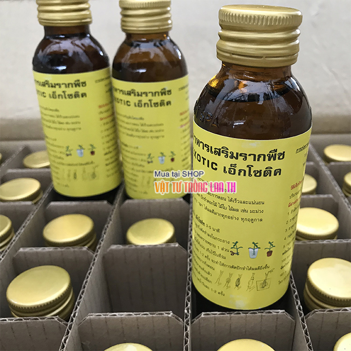 Kích rễ siêu mạnh Exotic hàng Thái Lan – lọ 100ml