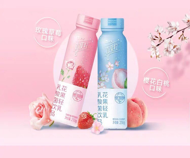 SỮA CHUA HOA QUẢ CHÂN QUẢ LẠP- VỊ ANH ĐÀO