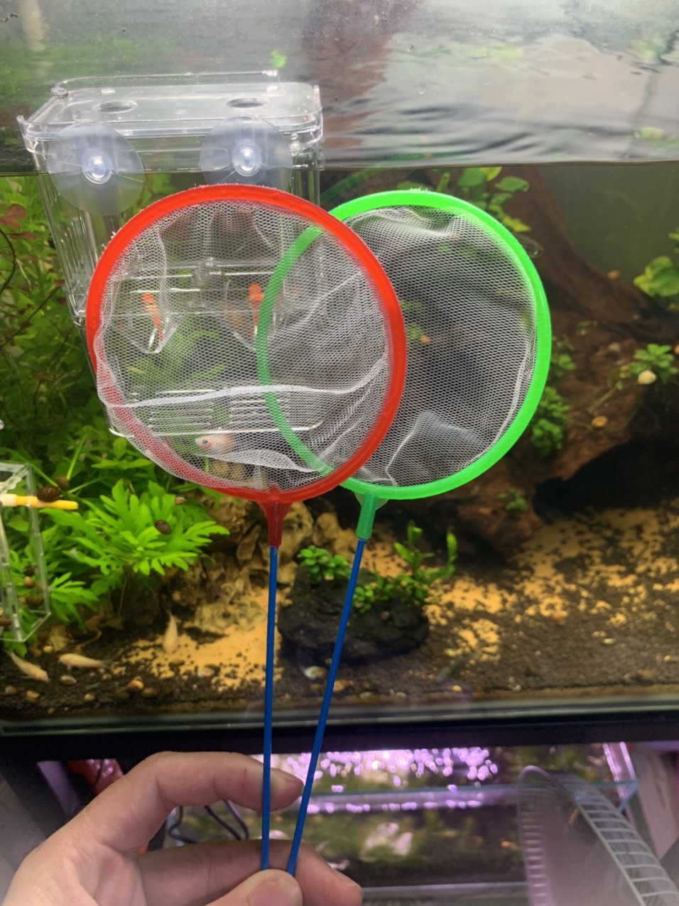 Vợt Cá Tép Mini - Vợt Artemia ☘ Lưới Siêu Mịn - Siêu Mềm