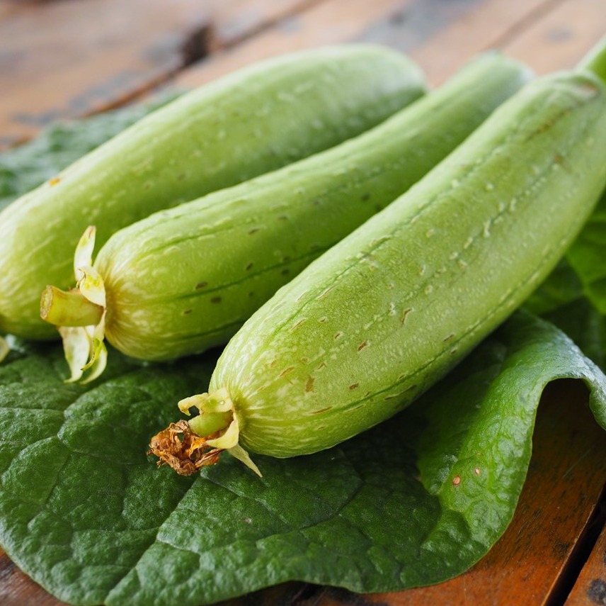 [HCM]10 Hạt Giống Mướp Hương F1