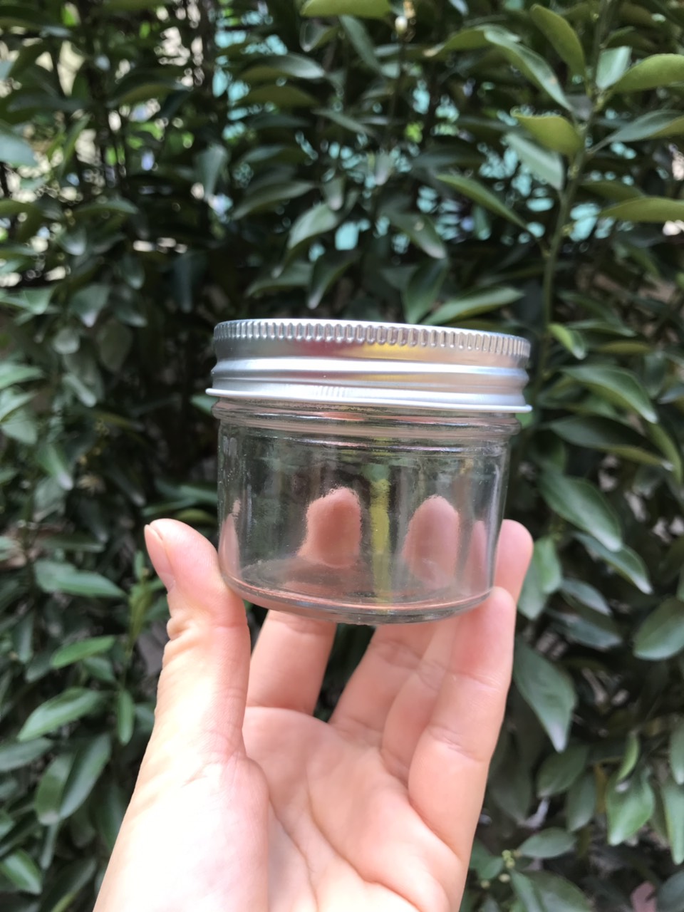 Set 6  hũ thủy tinh đựng sữa chua