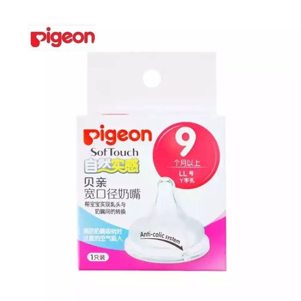 Núm ti Pigeon