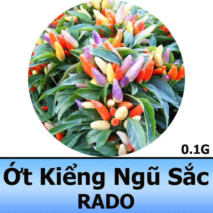 Hạt Giống Ớt Kiểng Ngũ Sắc Siêu Trái 0,1G
