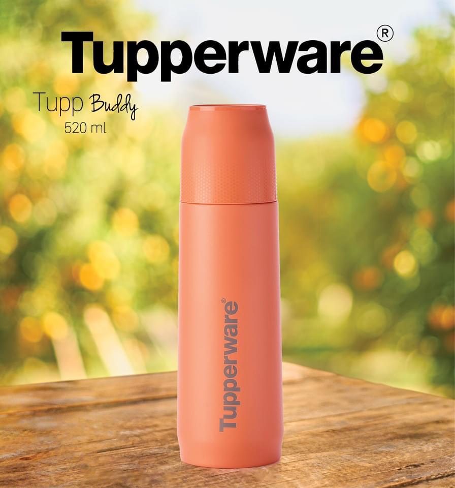 Bình giữ nhiệt Tupperware Buddy 520ml (Tặng kèm túi 90K)