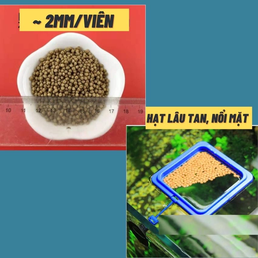 Thức ăn cho cá cảnh, đồ ăn cho cá