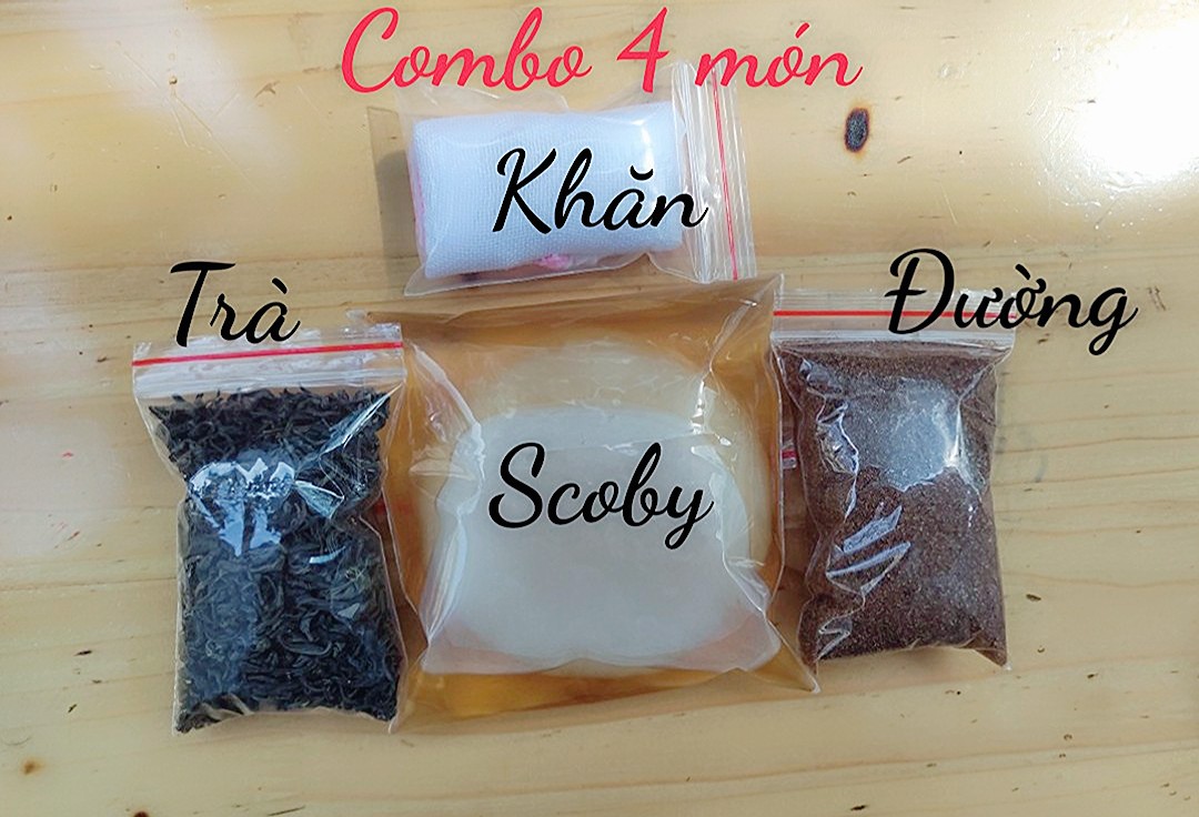 combo 5 món nuôi SCOBY/KOMBUCHA không thể thiếu