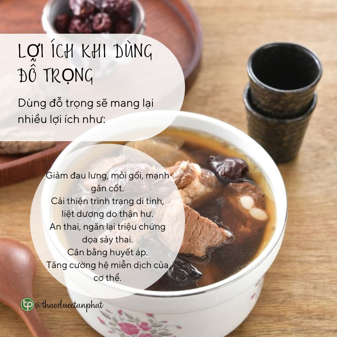 [Hàng mới về] Đỗ trọng sấy khô 1kg - Thảo Dược Tấn Phát - Hỗ trợ cải thiện sức khoẻ