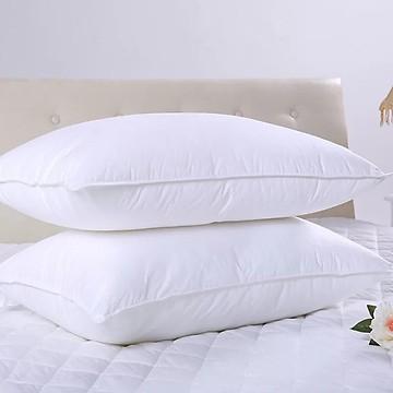 com bo 2 ruột gối loại to 50 x 70 cm