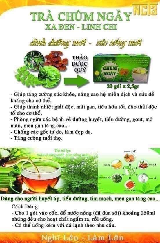 Trà chùm ngây xạ đen, linh chi