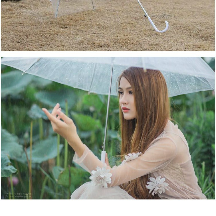 Ô Dù Trong Suốt Phong Cách Hàn Quốc