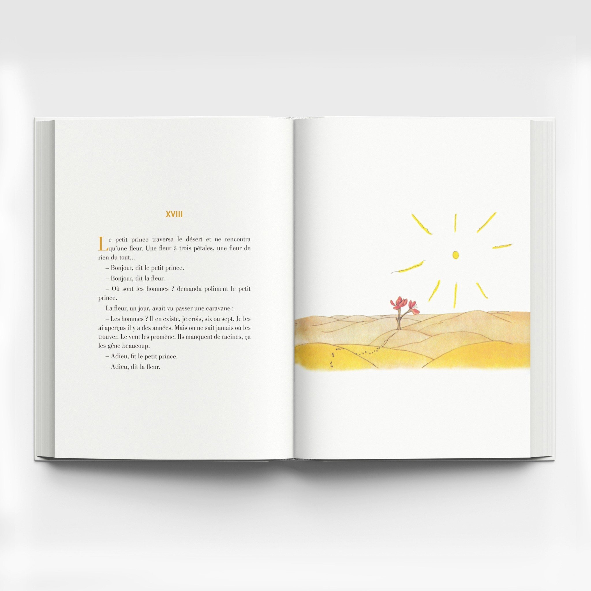 Cá Chép - Hoàng tử bé (Song ngữ Việt - Pháp)