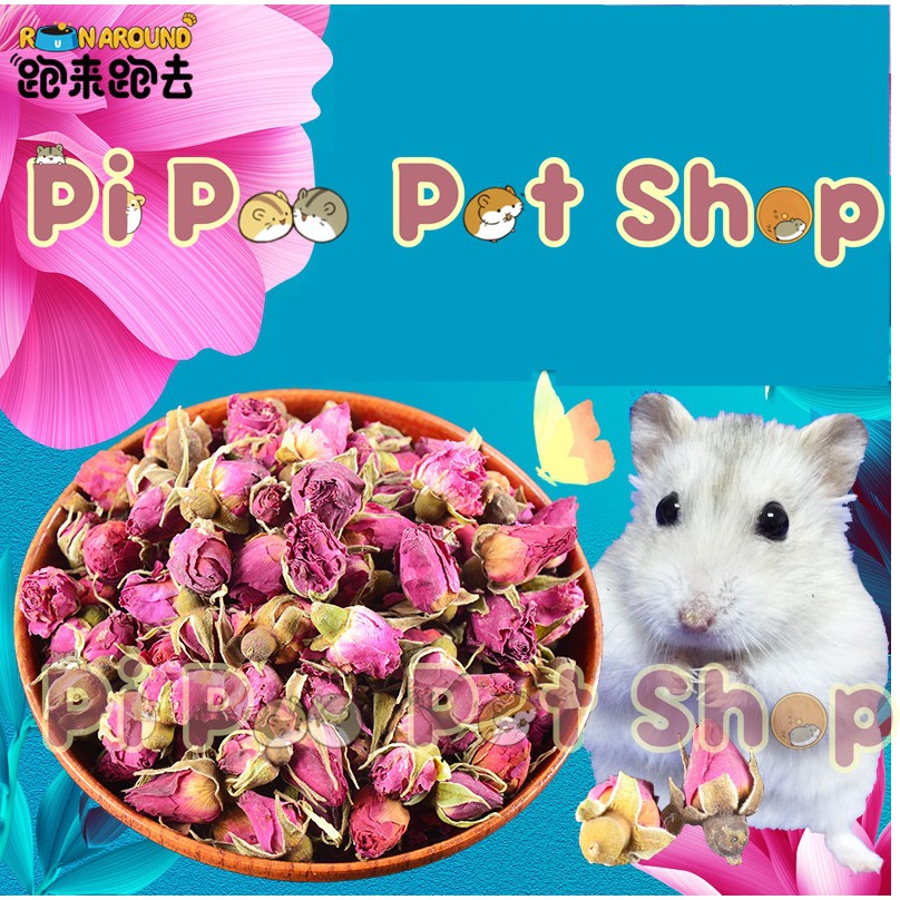 Hoa Hồng Khô cho thú cưng