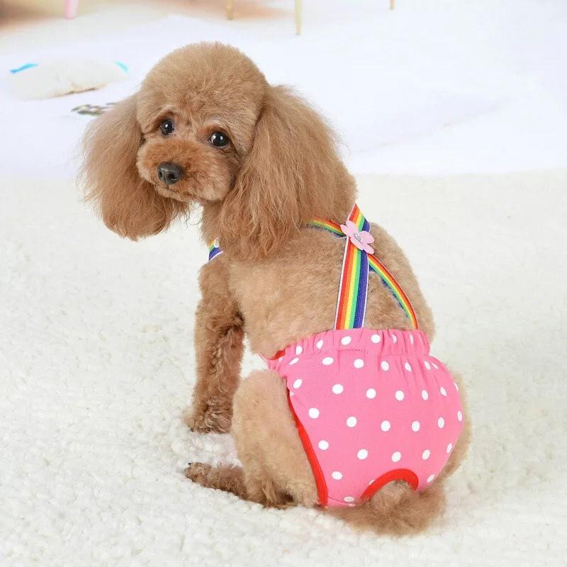 Quần chip có quai cho thú cưng