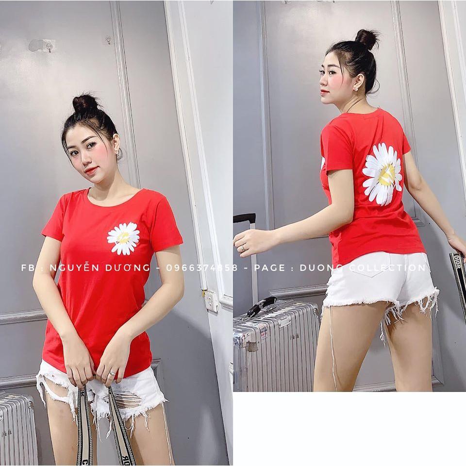 Áo phông hình hoa CÚC HỌA MI