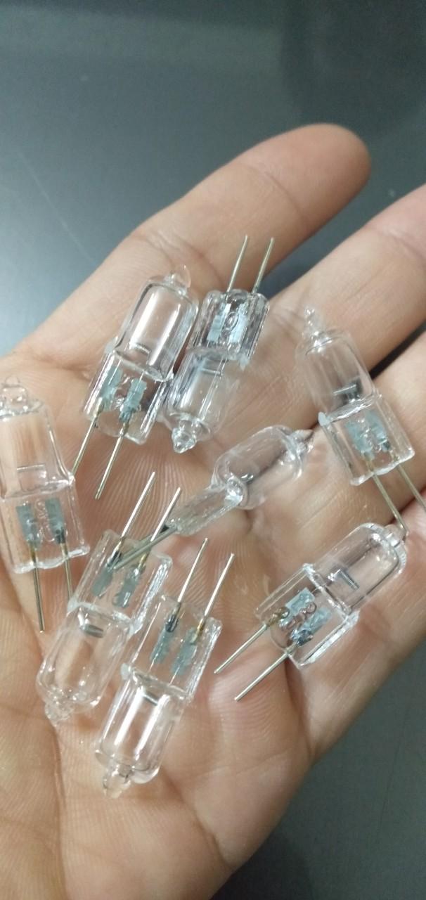 10 bóng halogen 12v50w