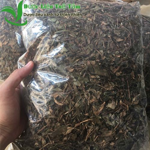 [HCM]Lá đinh lăng khô - Đinh lăng nếp lá nhỏ