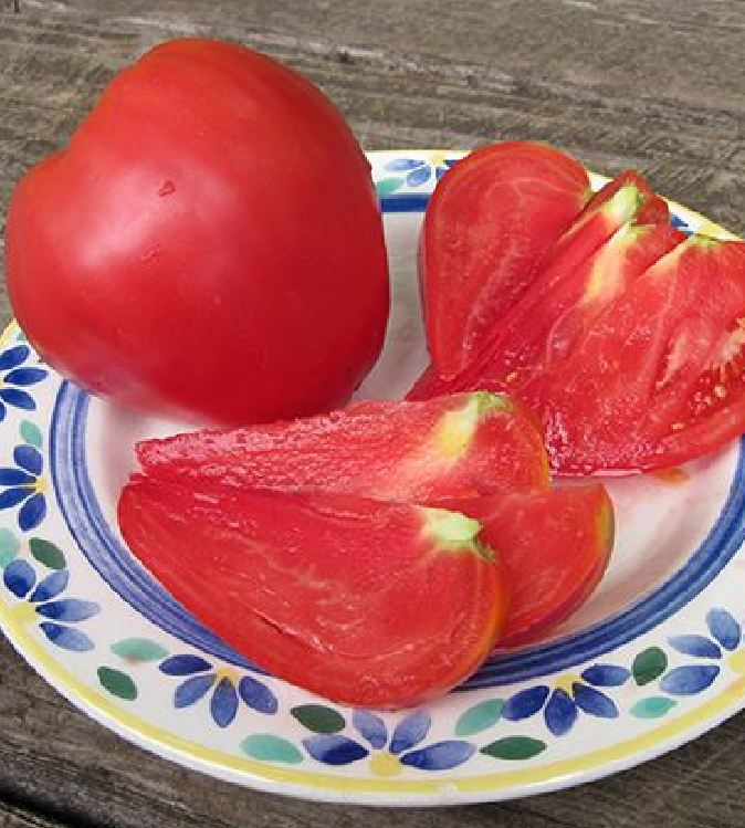 Hạt giống cà chua đỏ trái tim - gói 30 hạt