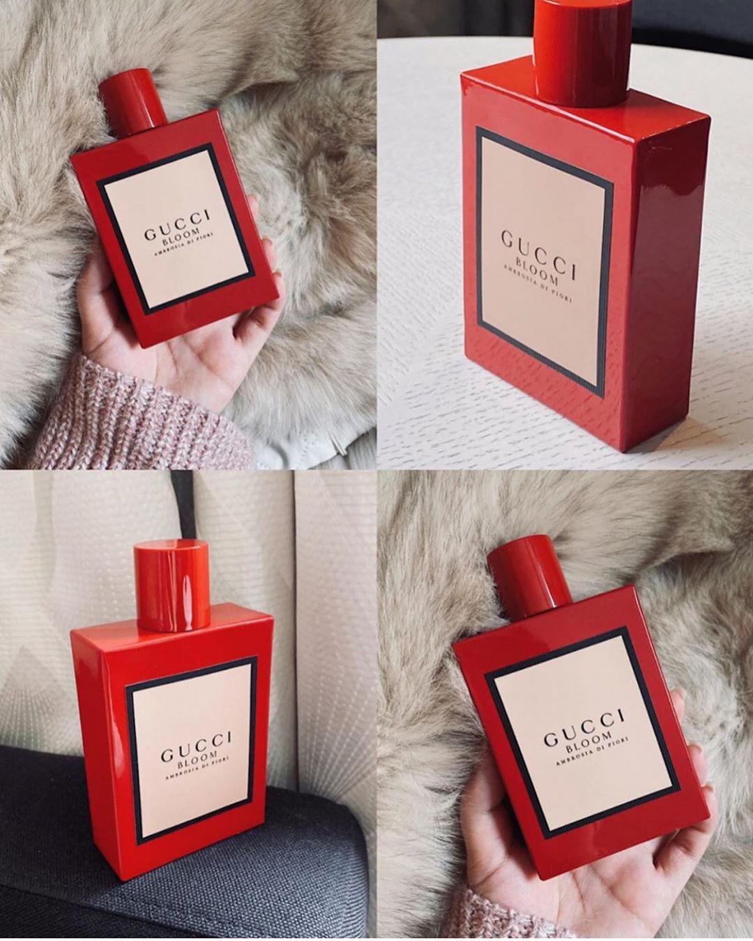 nước hoa bloom đỏ