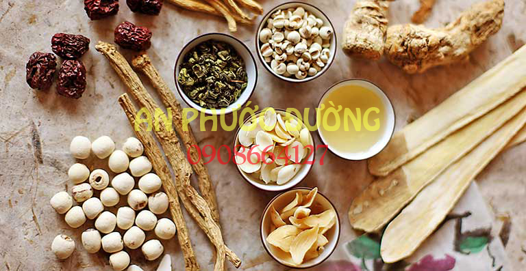 GIA VỊ  THUỐC BẮC NGON-BỔ-RẺ