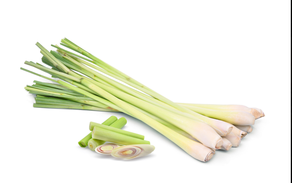 [Chỉ Giao HCM] Sả Cây - 100g